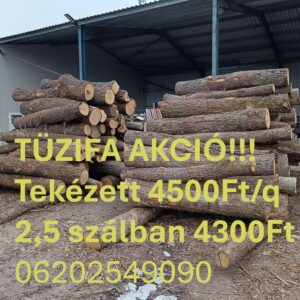 Tüzifa Tekézett és 2,5 szál